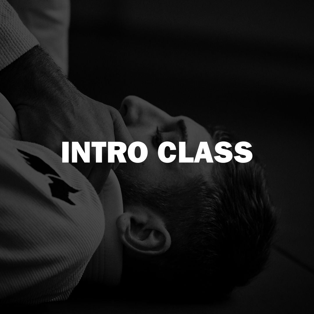 product-color-INTRO CLASS